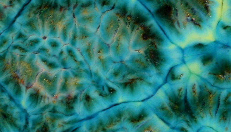 2017-08-10 113044 crop2